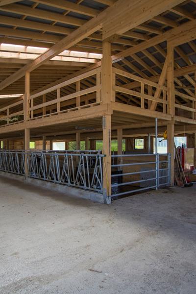 Maisbuehl Stall und Haus