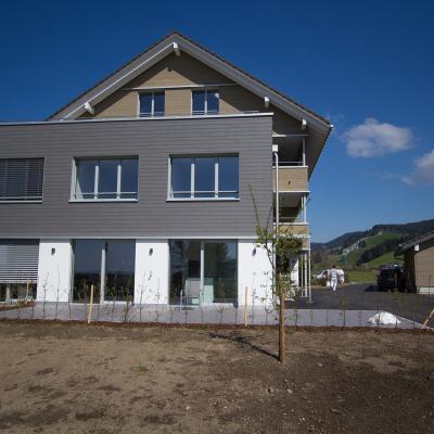 Erstzbau Bauernhaus Menzingen